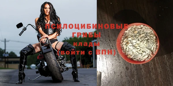 ECSTASY Бронницы