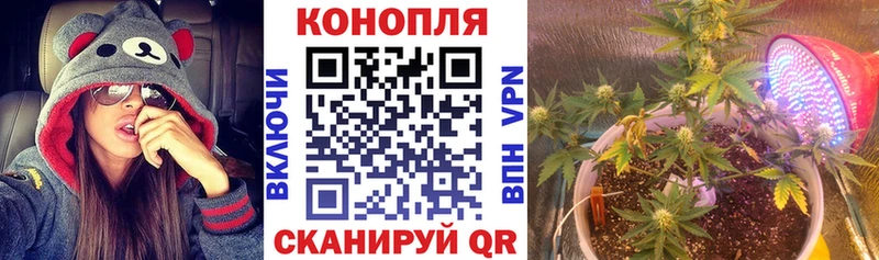 маркетплейс какой сайт  Новосиль  Канабис LSD WEED 